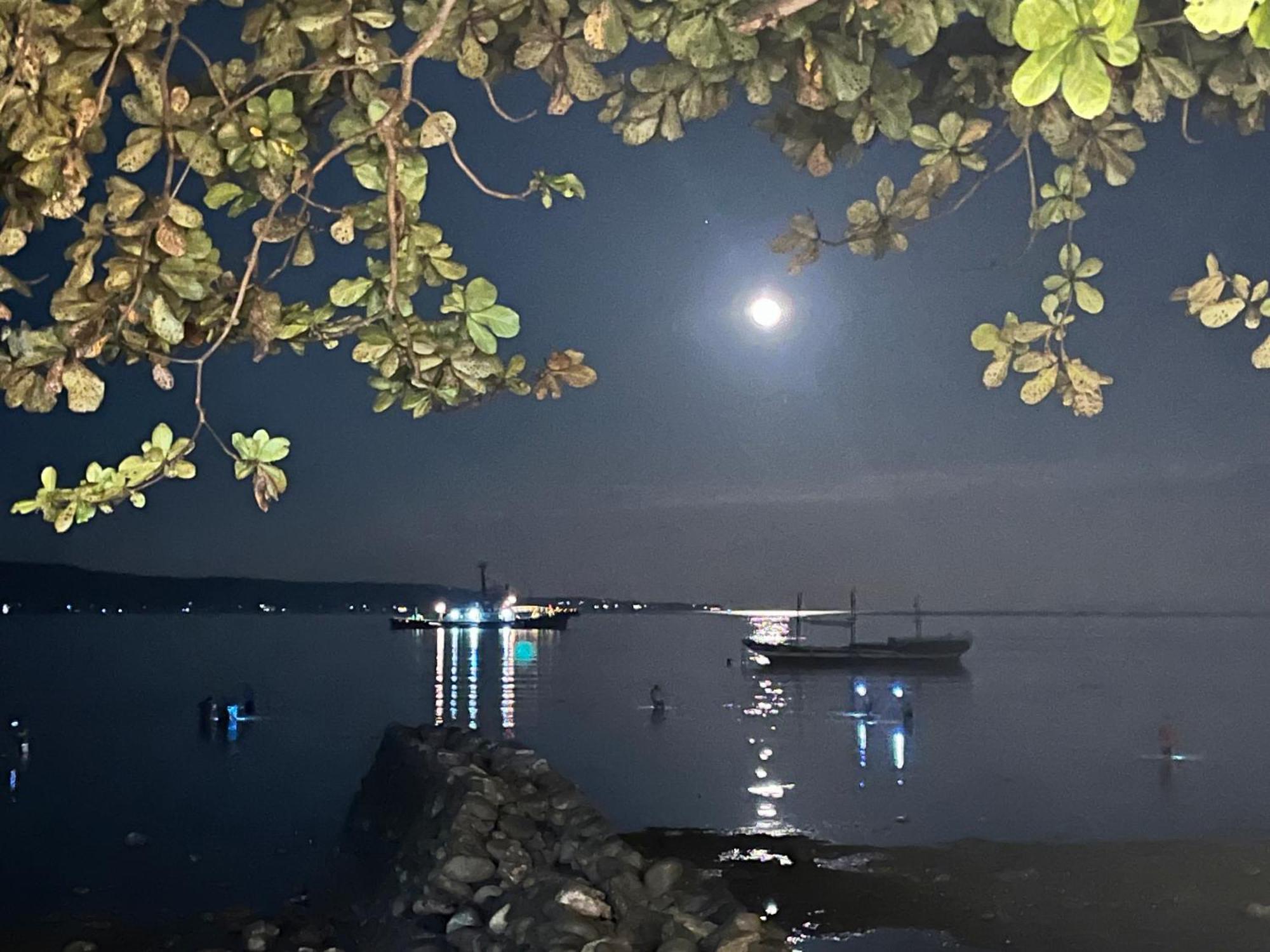 Boochee Beach Tampi Kültér fotó